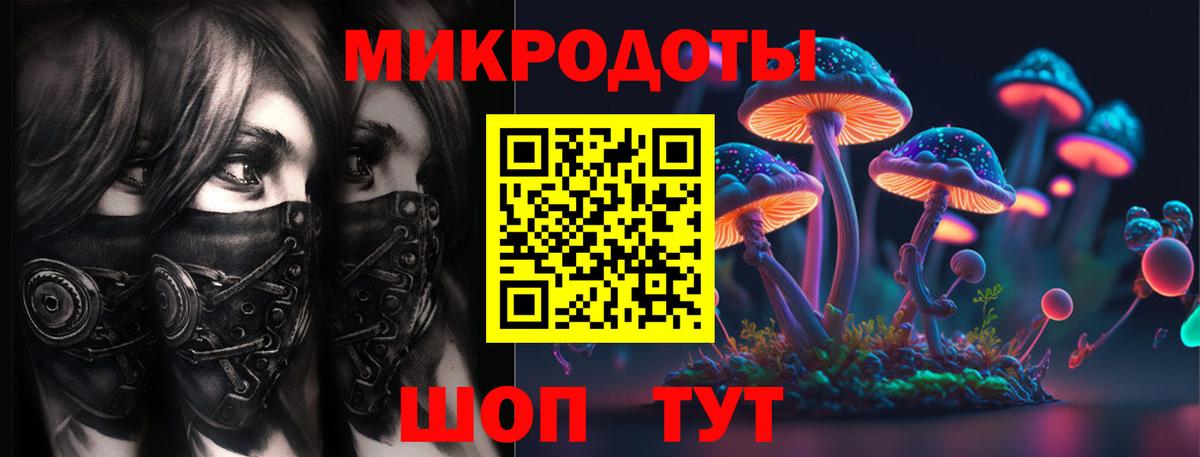 Псилоцибиновые грибы прущие грибы Новомосковск