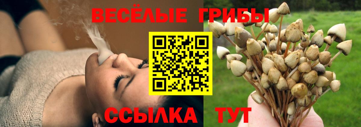 Новомосковск  где можно купить   Вход с VPN  Галлюциногенные грибы GOLDEN TEACHER 